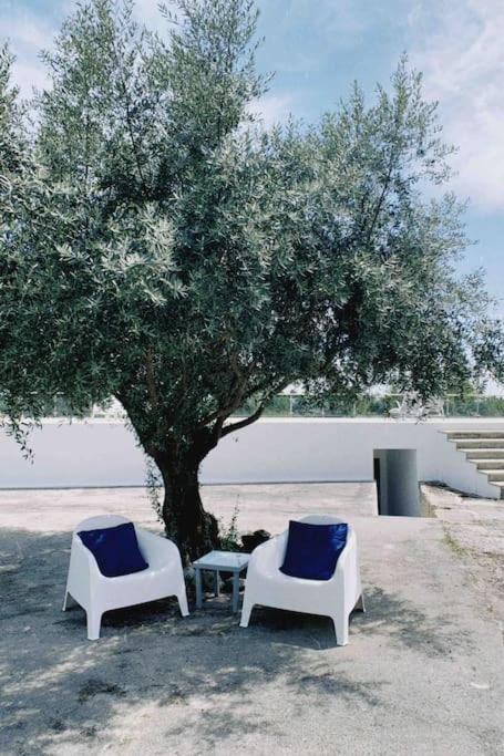 Casa Da Oliveira Villa Nelas Eksteriør billede