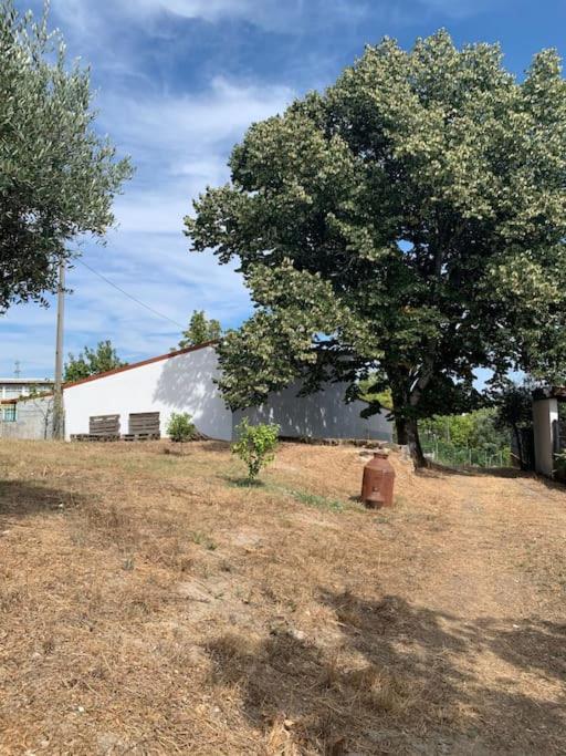Casa Da Oliveira Villa Nelas Eksteriør billede