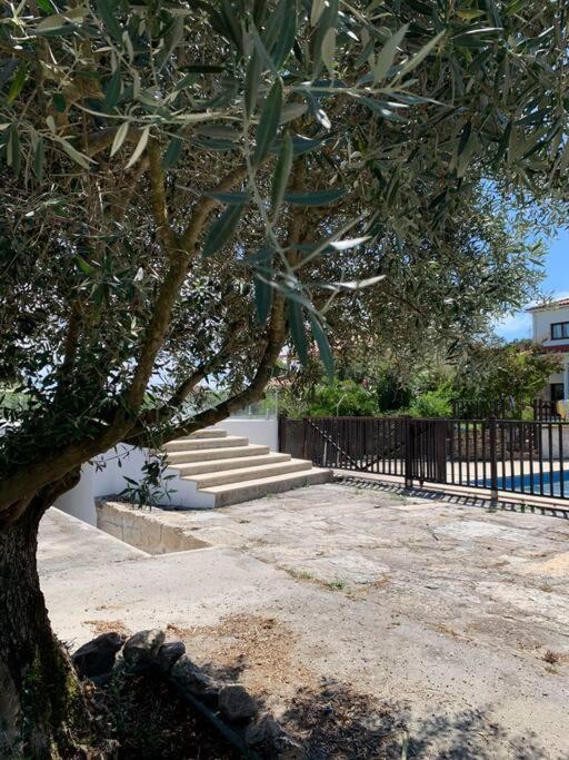 Casa Da Oliveira Villa Nelas Eksteriør billede